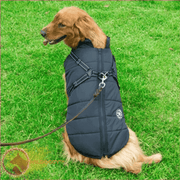 Wildoggy™ Waterproof Jacket With Built-in Harness