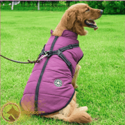 Wildoggy™ Waterproof Jacket With Built-in Harness