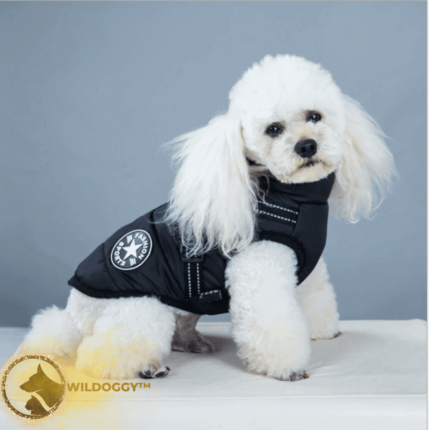 Wildoggy™ Waterproof Jacket With Built-in Harness