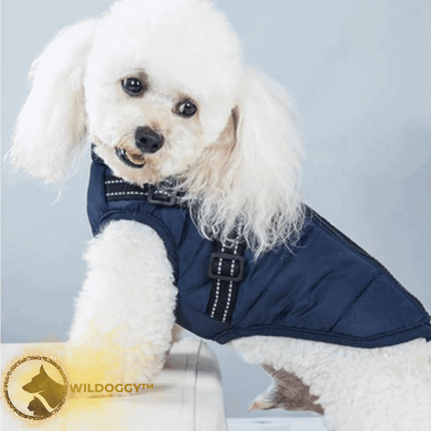 Wildoggy™ Waterproof Jacket With Built-in Harness